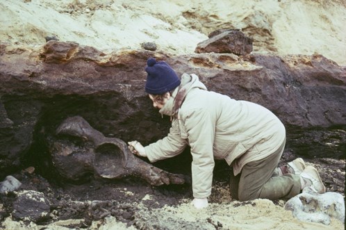 Lady discovering intact mammoth skull on beach