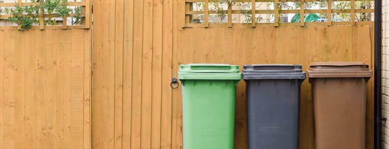 Bins, collections and recycling.jpg