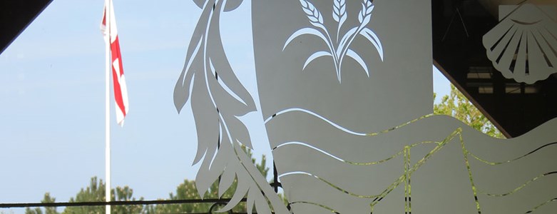 View from back door.jpg (1)