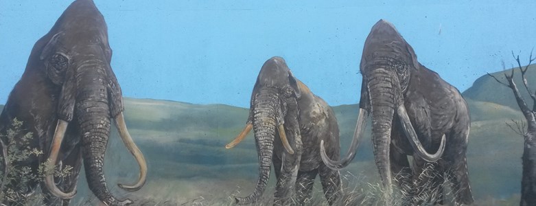 David Barbers mammoth mural1@LB.jpg