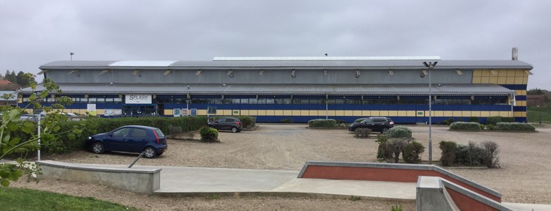 image2.JPG