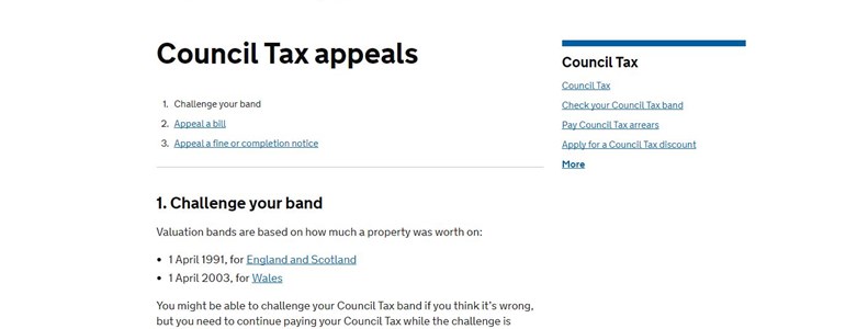 Council Tax website.JPG