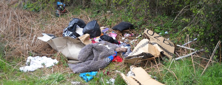 Fly-tipped waste.JPG (1)