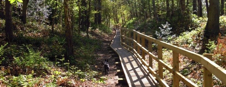PCW Boardwalk.jpg