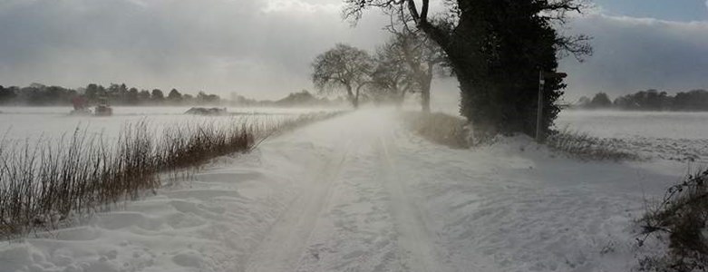 NW Snow.jpg