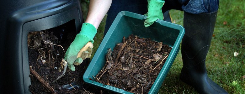Finished compost from hatch.jpg