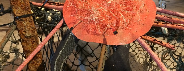Crab 2.jpg