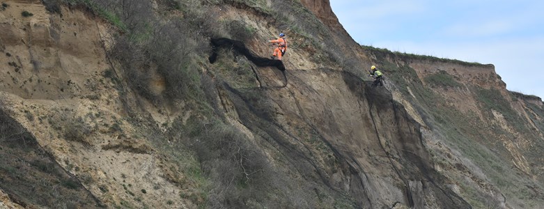 Bacton Sandscaping bird netting removal (41).JPG