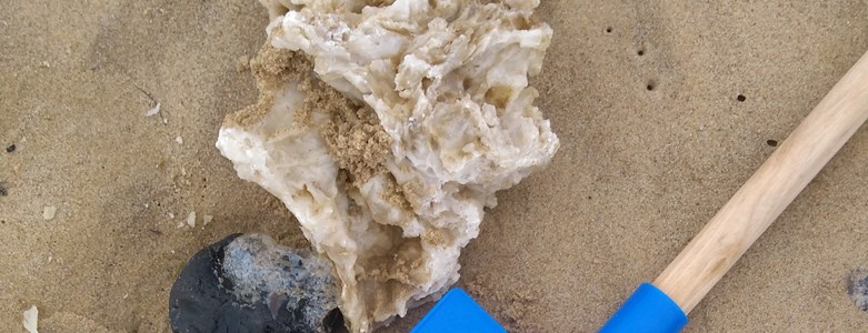 20190521_113441.jpg