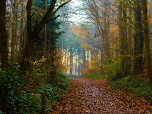 Holt Country Park Calendar now available to buy