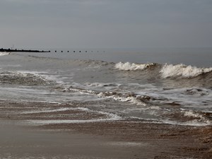 Six Blue Flag beaches classified as 'excellent' for water quality again