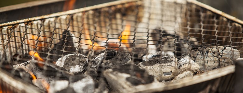 DISPOSABLE BBQ.jpg