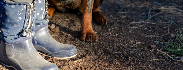 DOG WALKER.jpg