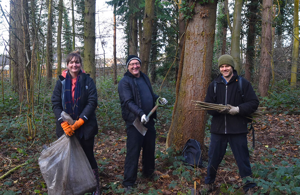 tree planting in Holt country park