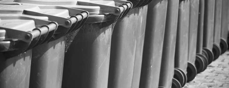 BIN COLLECTION.jpg (1)