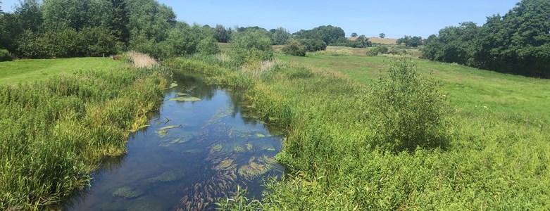 Wensum River Valley - Looking North From the Bridge (July 2019).jpg (2)