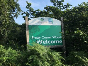 Emergency barriers to be installed at Pretty Corner Woods