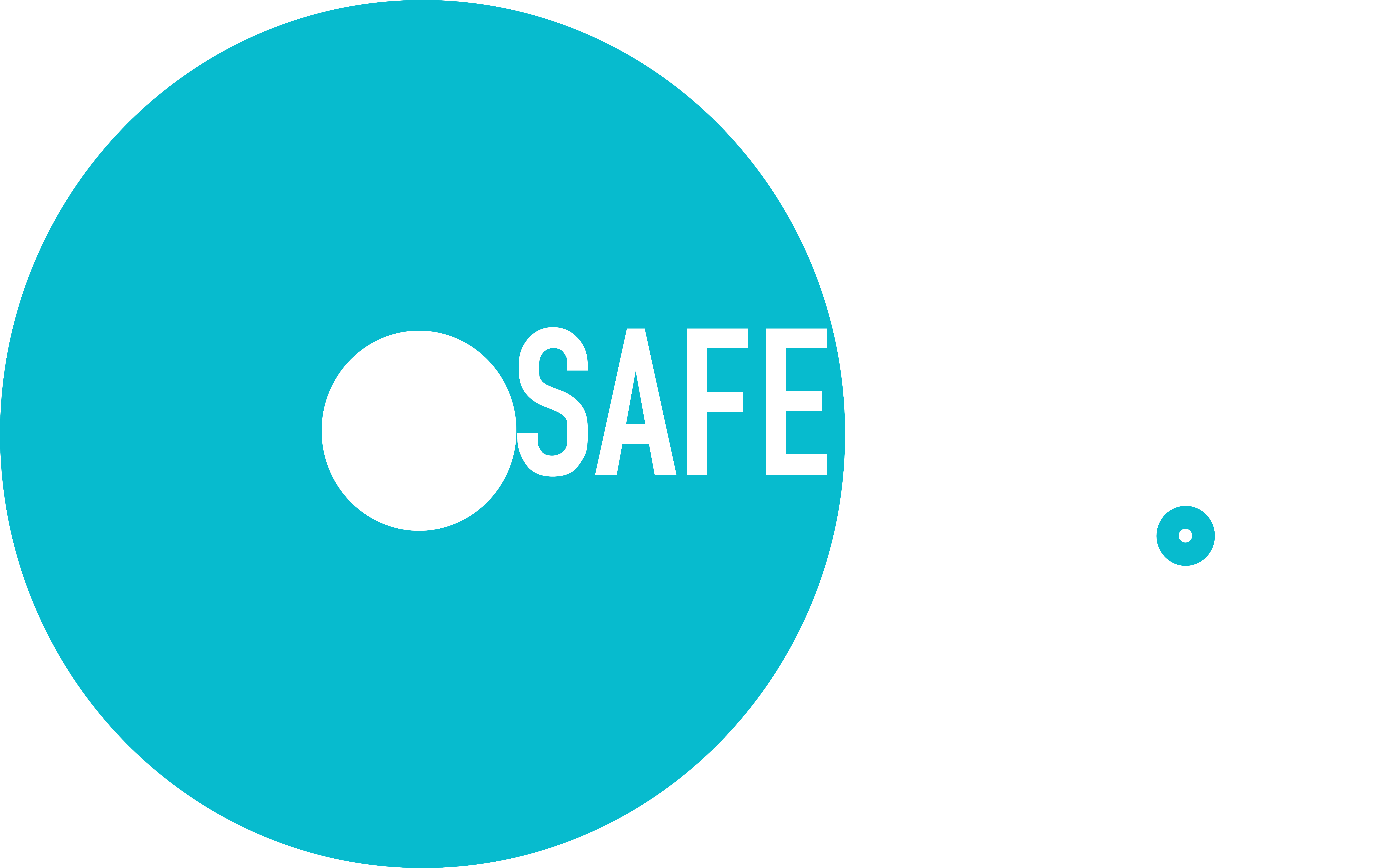 Online Safe Spaces logo
