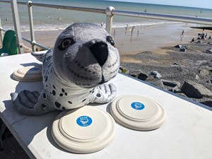 Safer Seals campaign raises for RSPCA seal rescue