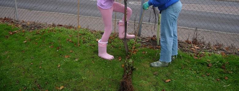 Cromer-Academy-Tree-Planting.jpg
