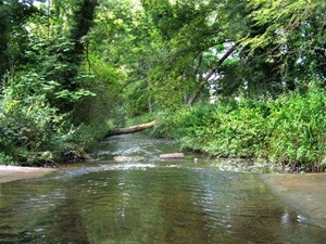 Love where you live? Let us know why!