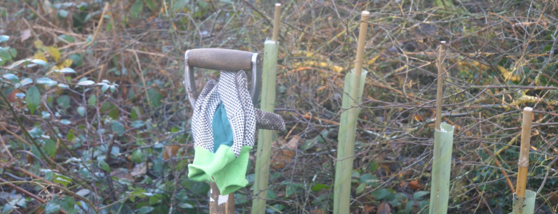 Tree Planting (glove on shovel).png