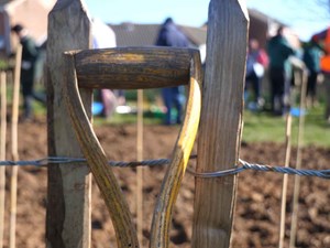 Tree project hits 70,000 trees at end of planting season