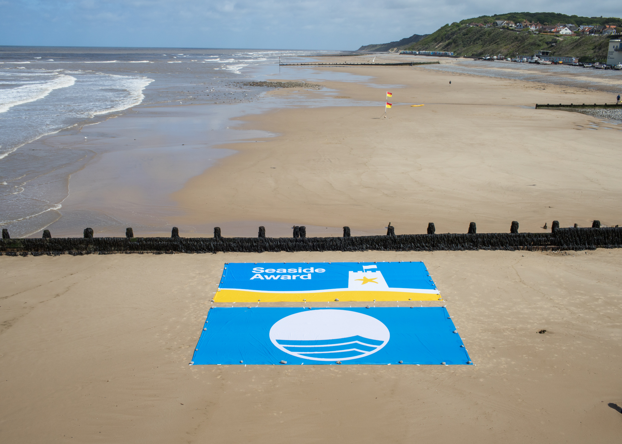 blue flags on the beach