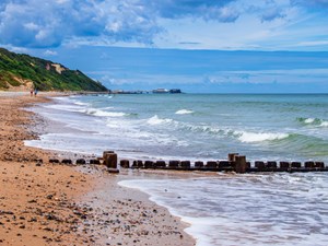 Council supports World Oceans Day