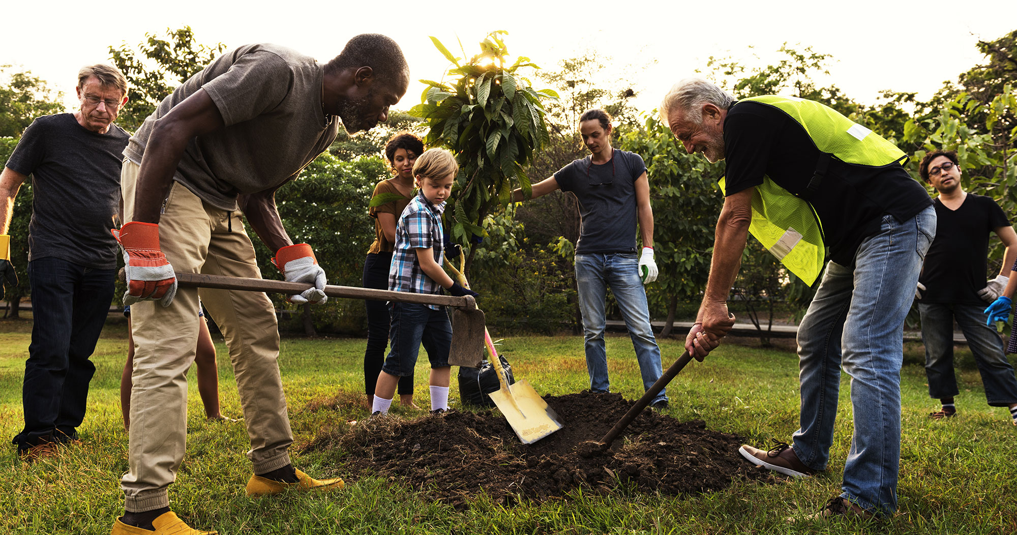 community group planting a tree