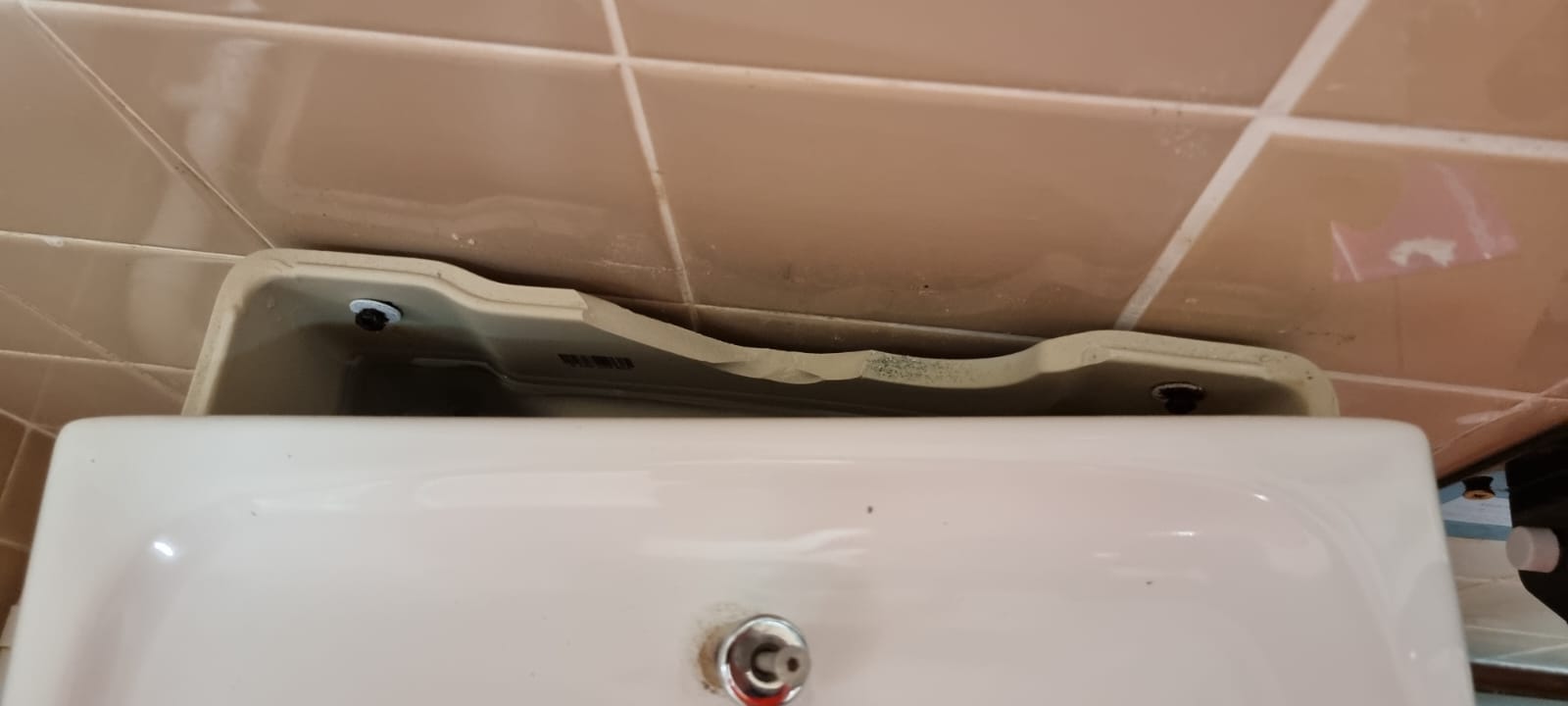 image of a damaged toilet in Holt