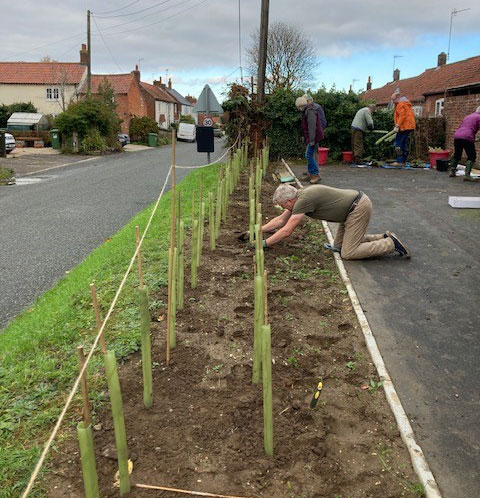 Hedge planting at Fulmodeston