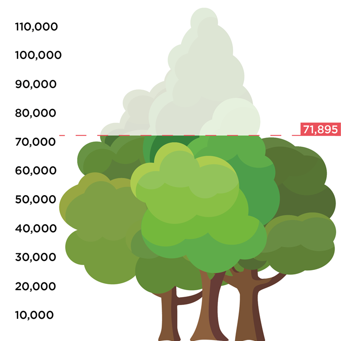 Image of a the tree graphic
