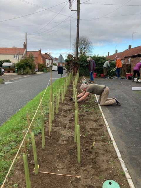 Image of Hedgerow planting at Fulmodeston