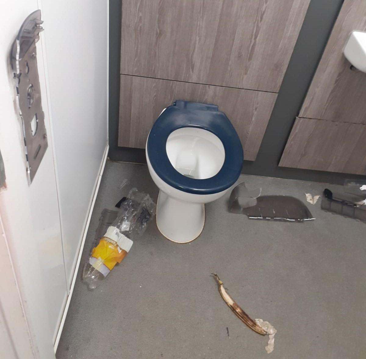 Image of vandalism to a toilet