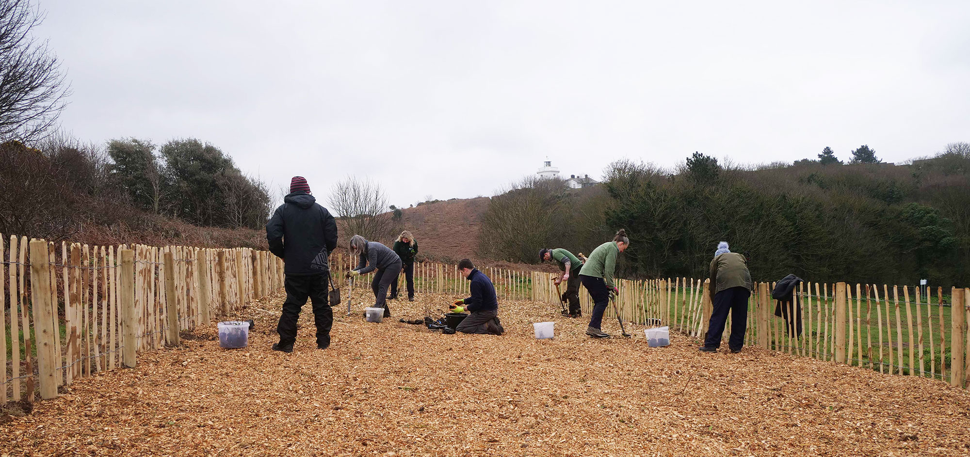 Planting the Miyawaki Forest at Warren Woods Cromer