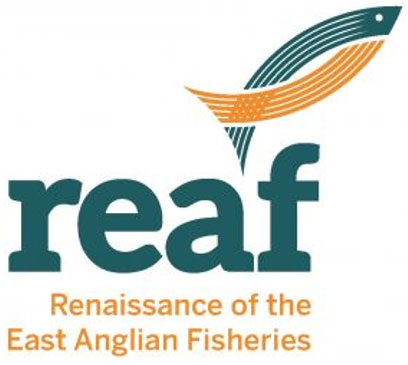 Renaissance of the East Anglian Fisheries (REAF)