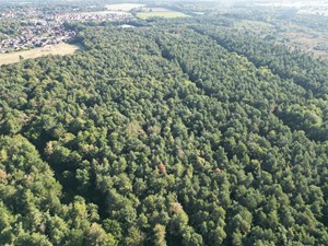 Car Parks closing at Holt Country Park and Pretty Corner Woods ahead of stormy weather