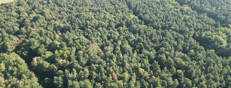 Holt-Country-Park-aerial-smaller.jpg